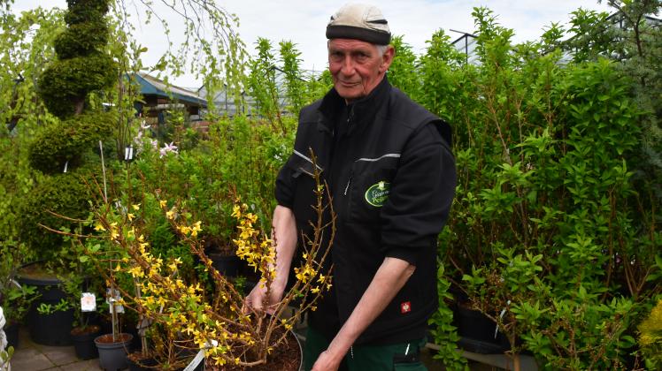 Klimawandel in Rendsburg: Experte gibt Tipps fr den Garten