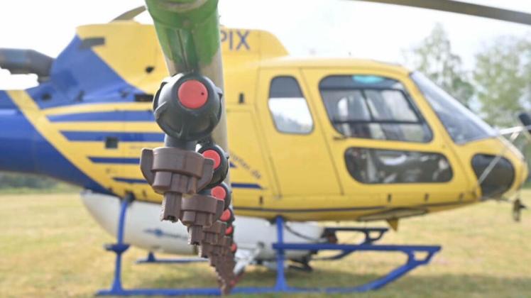 Hubschrauber bekämpfen Eichenprozessionsspinner