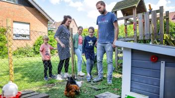 Osnabrück: Familie Meimberg hält 4 Hühner im Wohngebiet - Was unterschätzt man bei der Hühnerhaltung in der Stadt.  12.05.2023 