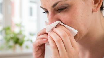 Nase voll: Können Lüftungsanlagen im Wohnhaus Allergikern helfen?