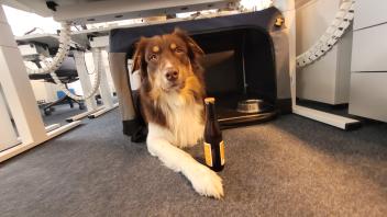 Bier für den Hund? Ja, das braucht eigentlich niemand. Aber testen kann man ja mal.