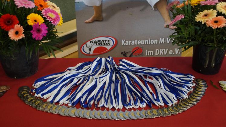 Vor allem im Kumite räumten die Karate-Kämpfer vom Kampfkunstverein Jion Güstrow einige Medaillen ab.