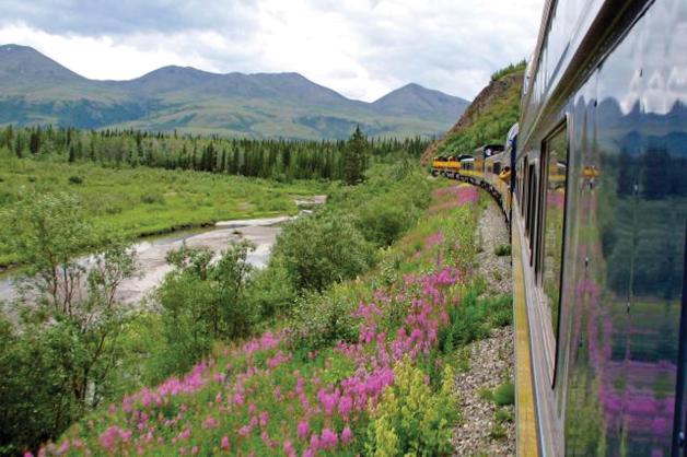 Reisen statt Rasen ist die Devise bei einer Fahrt mit der Alaska Railroad.