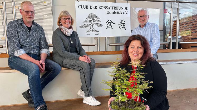 Kerstin Denter zeigt am Wochenen ihren Bonsai-Mammutbaum. Ralf Kolkhorst und Lothar Wehleit von den Bonsaifreunden freuen sich gemeinsam mit Michaela Rudolph-Hettlich vom Freundeskreis Botanischer Garten auf die Ausstellung. 