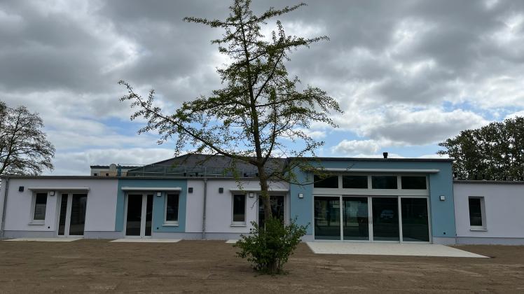 Der Ginkgo-Baum hat seinen Platz in der Grünanlage des Hauses gefunden