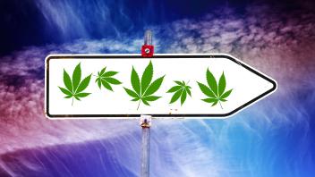 FOTOMONTAGE, Wegweiser mit Cannabisblättern, Symbolfoto Cannabis-Legalisierung *** PHOTOMONTAGE, signpost with cannabis