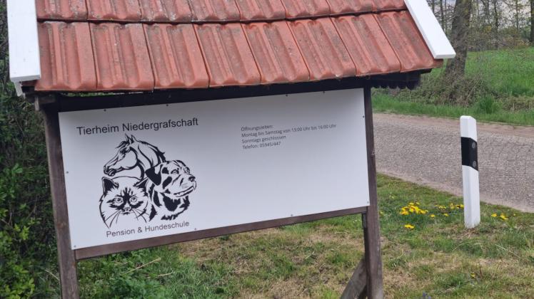 Ins Tierheim Niedergrafschaft in Wilsum in der Grafschaft Bentheim werden bald die gefundenen Hunde und Katzen aus der Gemeinde Twist gebracht. Das hat der zuständige Ausschuss beschlossen.
