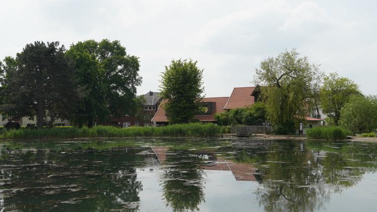 Die „GenussKulTour“ führt auch vorbei am Glockensee in Bad Laer und verbindet Wandern, Genießen und Ortsgeschichte. 