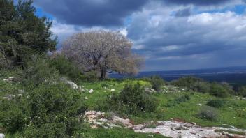 Megiddo-Wanderweg in Israel