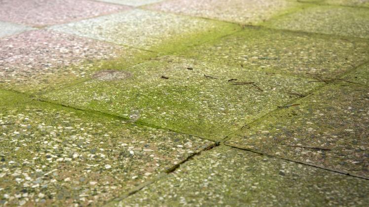 Grünbelag auf Terrassenboden