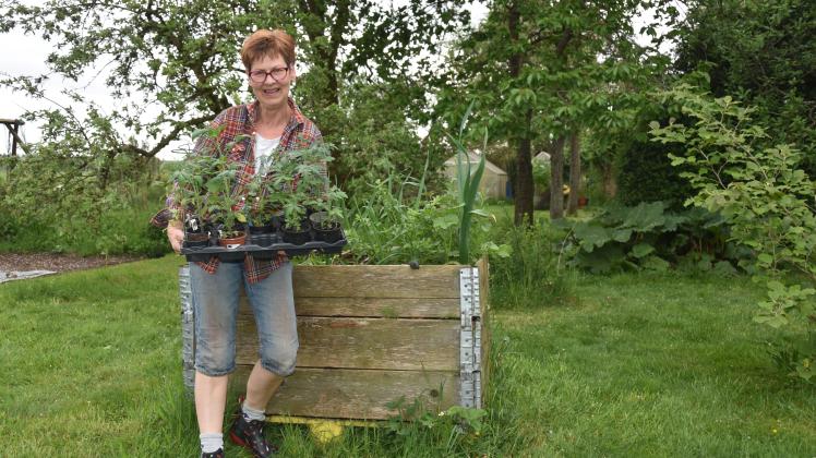 Monika Ottinger gibt wieder sortenfeste Tomatenpflanzen ab.
