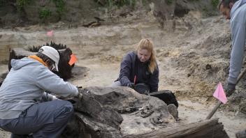 Archäologische Ausgrabungen am Prozessionsweg in Lingen Biene