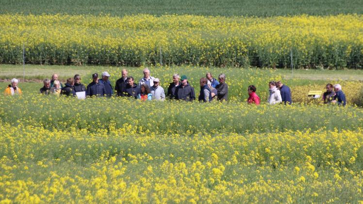 Rund 100 Besucher nahmen am Vermehrertag der Norddeutschen Pflanzenzucht (NPZ) in Hohenlieth teil. Das Familienunternehmen liefert Saatgut in die ganze Welt .