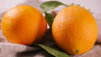 Orange filetieren
