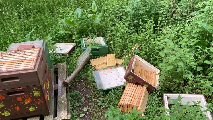 Zwei Bienenstöcke und mehrere Nistkästen haben Unbekannte in Neuenkirchen-Vörden zerstört.