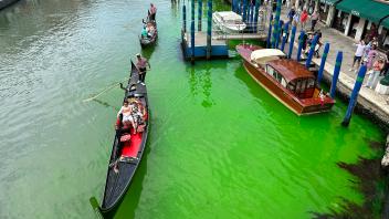 Canale Grande in Venedig leuchtet grün