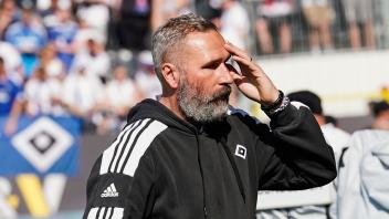 SV Sandhausen - Hamburger SV