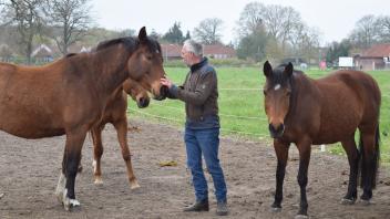 Tierarzt Bernhard Gerigk mit Pferden auf der Koppel