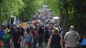 Der Pfingstflohmarkt in Karlsminde zählt zu den größten in der Region. Tausende Besucher strömten Pfingstsonntag Richtung Campingplatz.