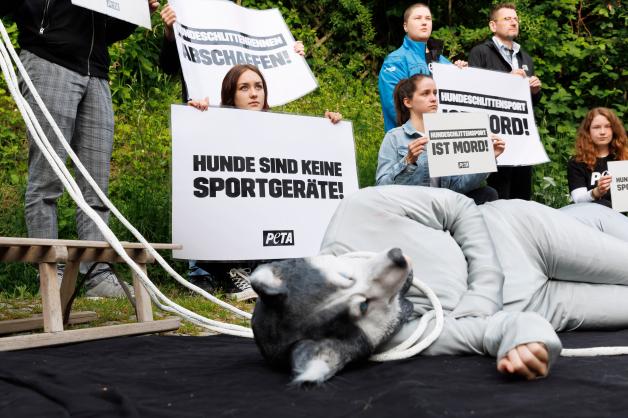 Vor dem Gericht protestierten Mitglieder der Tierschutzorganisation Peta gegen Schlittenhunderennen.