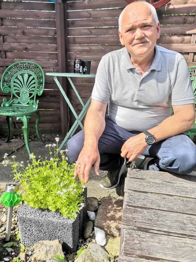 Kleingärtner aus Neumünster geben Tipps Ein Garten für Insekten