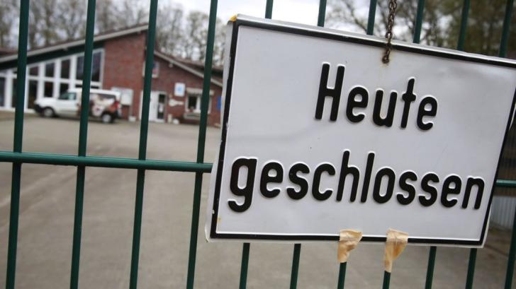 Das Tierheim Lingen hat die Annahme von Fundtieren stark eingeschränkt, deshalb mussten mehrere Kommunen im mittleren Emsland neue Lösungen für gefundene Hunde und Tiere suchen.