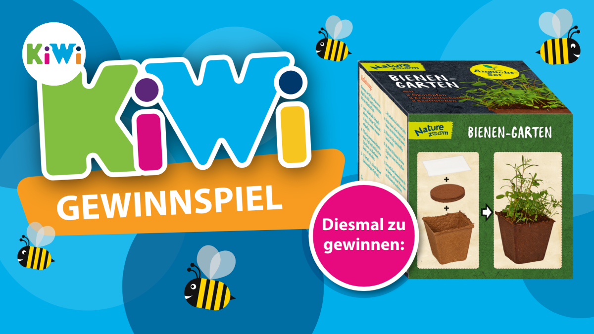 KiWiGewinnspiel Mach mit und gewinne einen BienenGarten NOZ