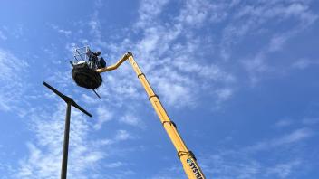 Daniel Fürst ließ sich mit einem Hubwagen in 24 Meter Höhe transportieren und brachte hoch oben das neue Storchennest an. 