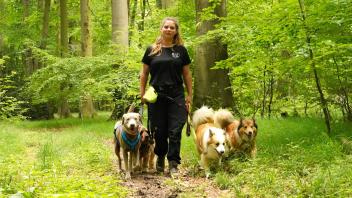 Medea Wolf hat in Georgsmarienhütte den Dogwalk-Service Wolfs Rudel" gegründet. 