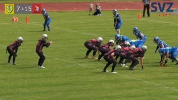 Bulls vs Vandals