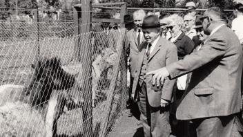 Delmenhorst hatte jetzt einen Tierpark: Bei der Eröffnung am 1. Juni 1968 lässt sich Oberbürgermeister Wilhelm von der Heyde (vorne links) von Tierparkgründer Johann Heinecke die Ponys zeigen.
