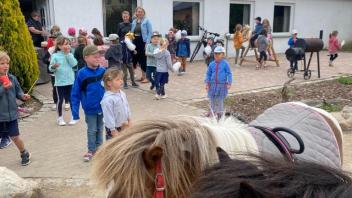 Allerlei los war am Internationalen Kindertag am 1. Juni auf dem Reiterhof Burmeister in Schwaan. 