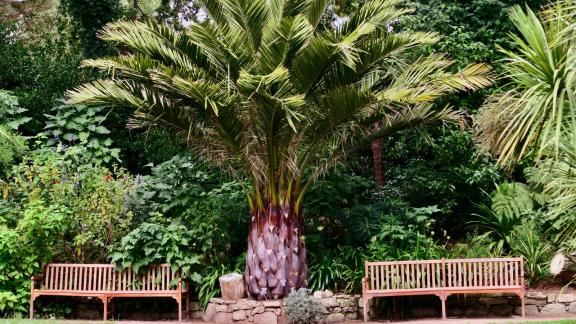 Jardin Georges Delaselle Jardin Georges Delaselle
