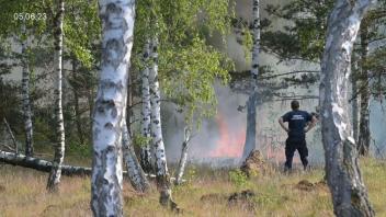 Feuer bei Jüterbog: «Aktuell brennen acht Hektar Wald»