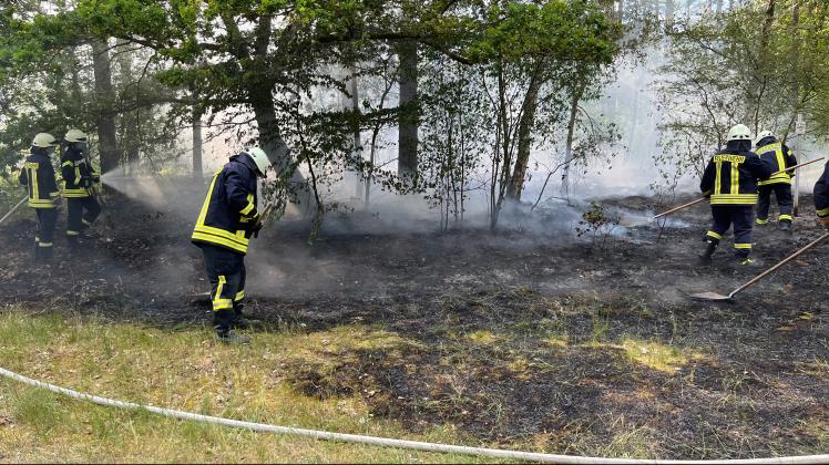 Feuerpatschen sind bei den Waldbrandeinsätzen in der Gemeinde Amt Neuhaus ein probates und erfolgreiches Mittel, das Feuer schnell zu löschen.