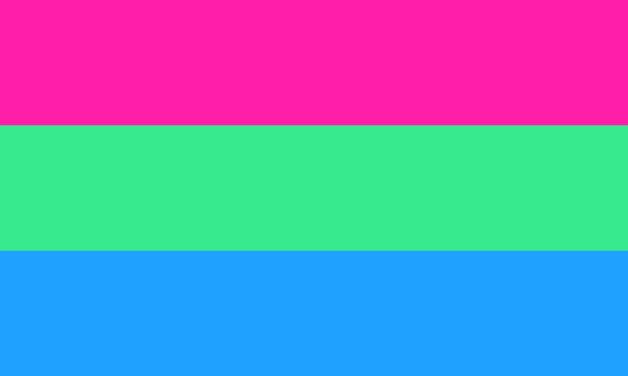 Polysexuelle Flagge