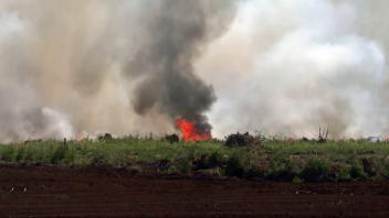 Riesiger Waldbrand im Göldenitzer Moor ausgebrochen: Feuerwehr-Großaufgebot kämpft gegen Flammeninferno an 