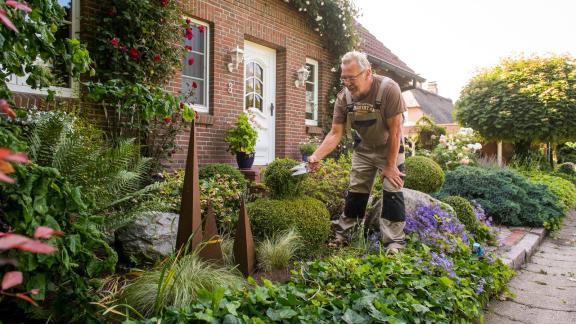 So wird der Schottergarten wieder grün So wird der Schottergarten wieder grün