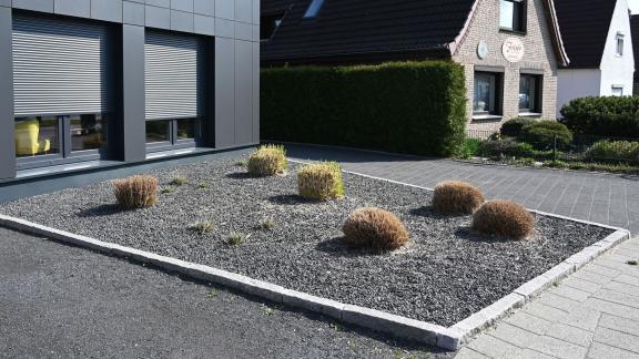 So wird der Schottergarten wieder grün So wird der Schottergarten wieder grün