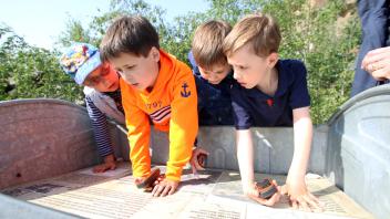 oles kiwi club auf schatzsuche