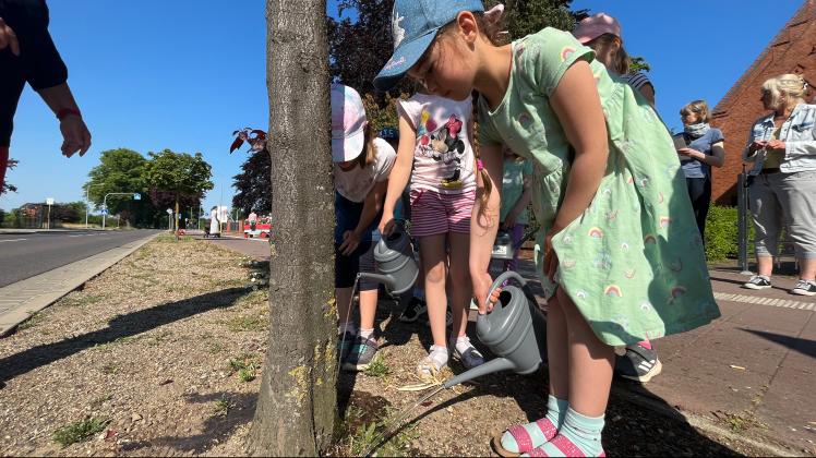 Kleine Hände und kleine Gießkannen, aber große Wirkung. Die Kinder der Katholische Kindertagesstätte Heilig Kreuz sind jetzt Gießpaten und kümmern sich so um drei der rund 6600 Stadtbäume von Boizenburg.