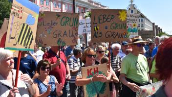 Mehr als 300 Kleingärtnern demonstrierten am Mittwoch vor dem Rostocker Rathaus für den Erhalt ihrer Kleingärten.