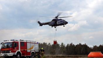 Waldbrand bei Jüterbog