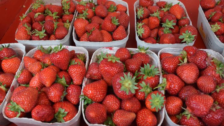 Erdbeeren haben von Mai bis Juli Saison und werden in dieser Zeit an verschiedenen Orten in Wittenberge verkauft. Doch wie viel muss man für ein Kilogramm ausgeben?