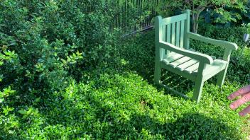 Eine Sitzgelegenheit im Grünen, am Boden Vinca minor, Immergrünchen.