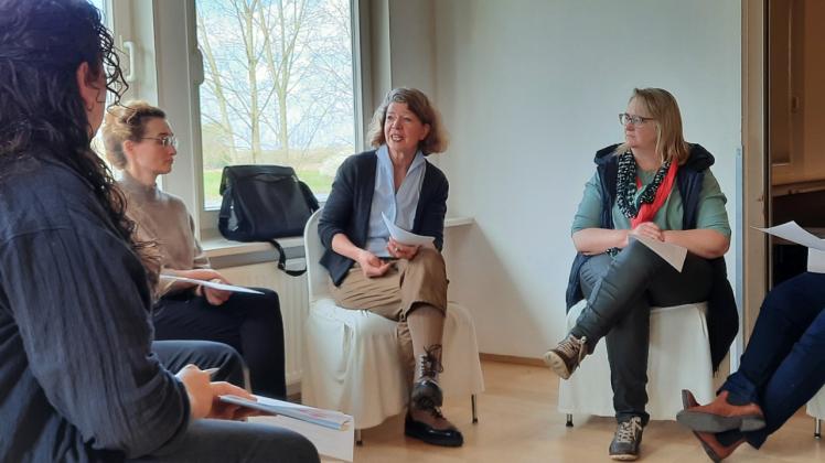 Dr. Katharina Lüdemann in einer Gesprächsrunde beim Netzwerktreffen der Geburtskliniken in Nienburg/Weser.