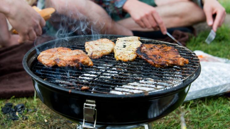 Grillen im Park