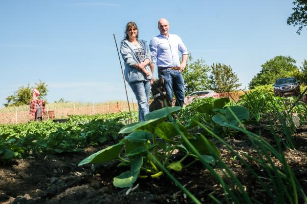 So funktioniert der Kropper Gemüsegarten SHZ