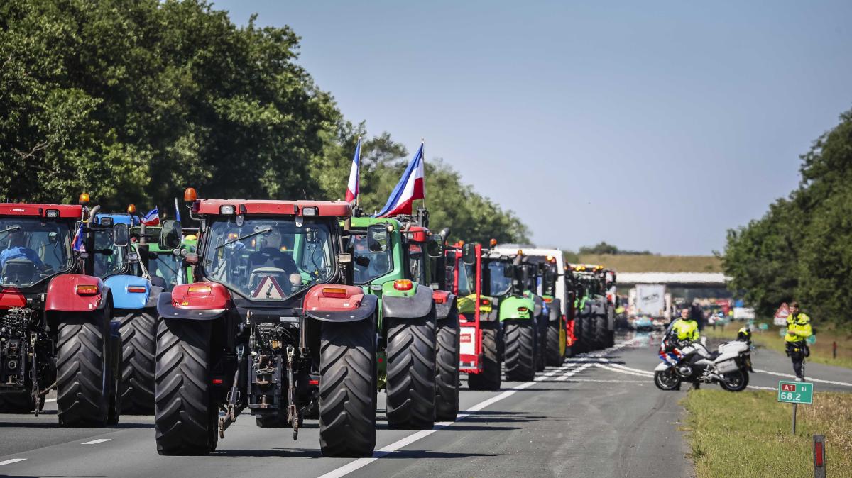 Niederlande: Darum sollen 3000 Landwirte ihren Betrieb schließen | NOZ