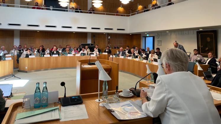 Ratsversammlung Neumünster: Sie Wurden In Die Ausschüsse Gewählt | SHZ